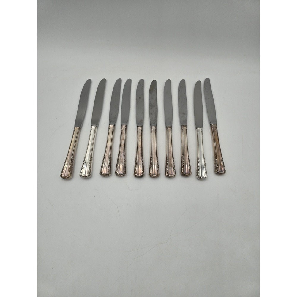 Holmes & Edwards May Queen Silverplate Dinner Knives Set of 10 Floral 9.25in